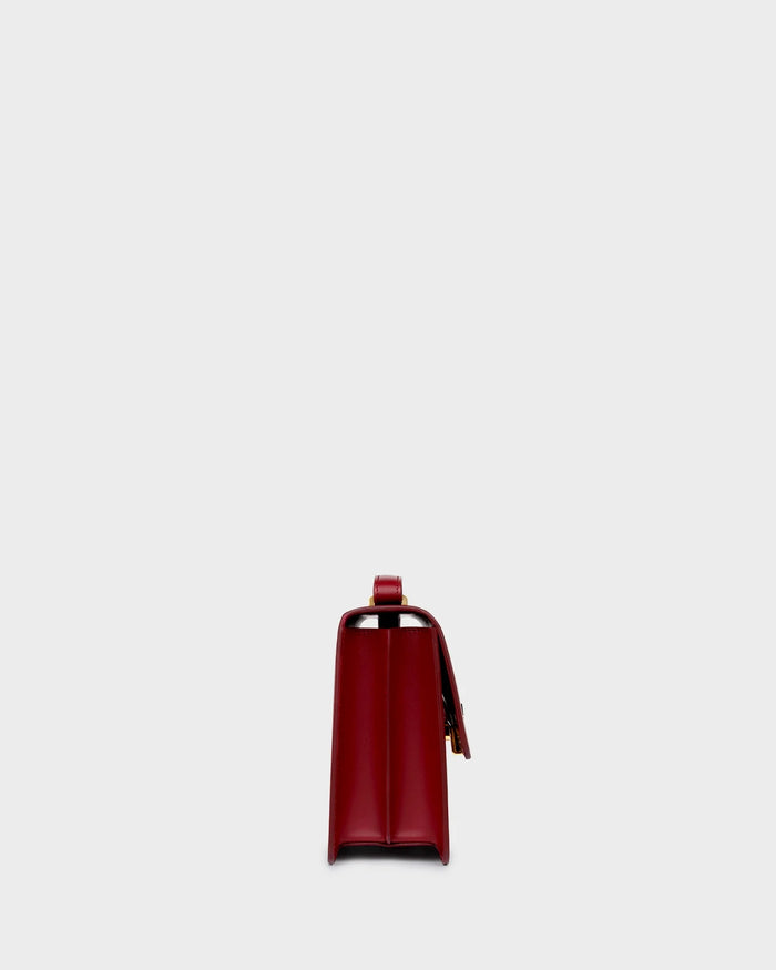 Alex In Burgundy Leather side view